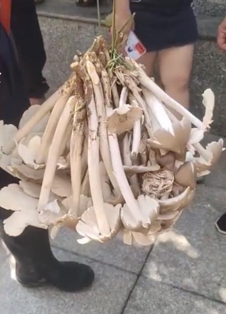 贵州,探索与学习之旅指南