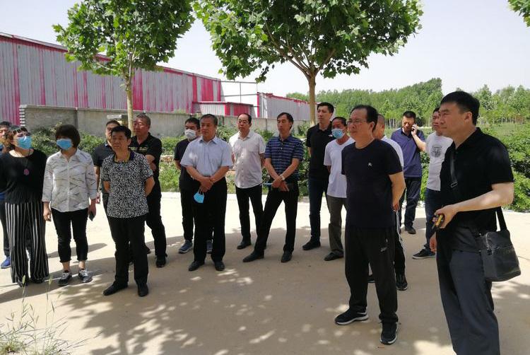 保定,历史名城焕发新活力